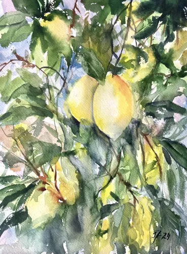 Citroner  80x120 cm