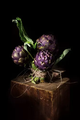 Ninfa Cynara  120x180 cm