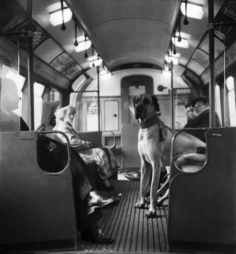 The Subway 1950 100x100 cm