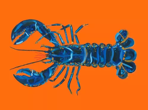 Lobstermania  120x180 cm