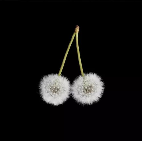 Cherry Wish 80x80 cm