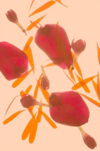 Leaves in love  120x180 cm