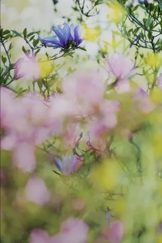 About beauty and solace  80x120 cm