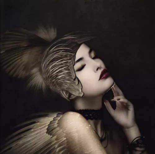 If I could fly 100x100 cm