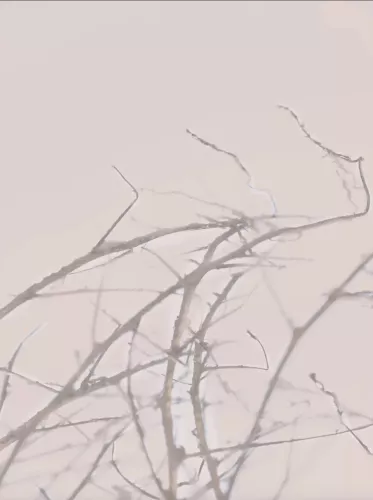 F2 80x120 cm