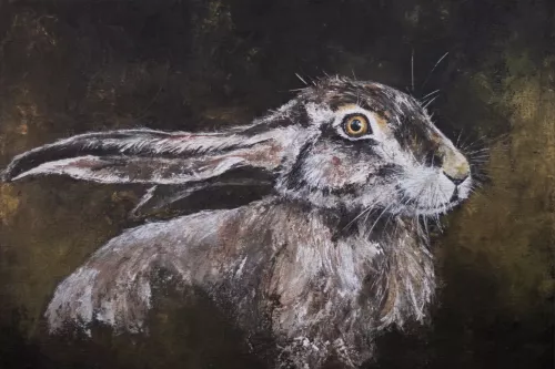 Hello There  80x120 cm