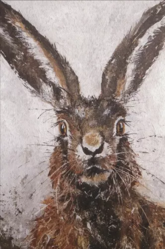 What's up friend?  80x120 cm