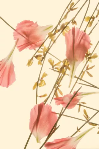 MondiLab Rain of flower leaves  80x120 cm (107375)
