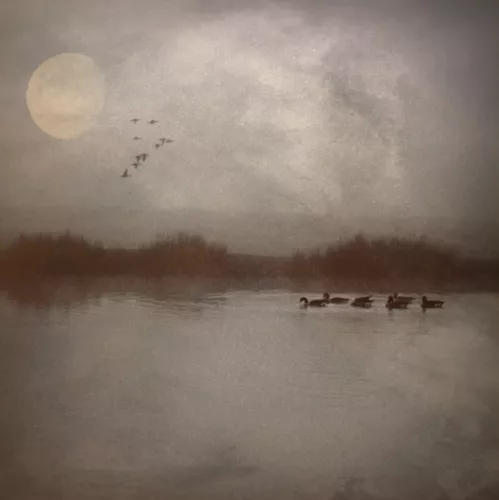 Evening Glow  80x80 cm