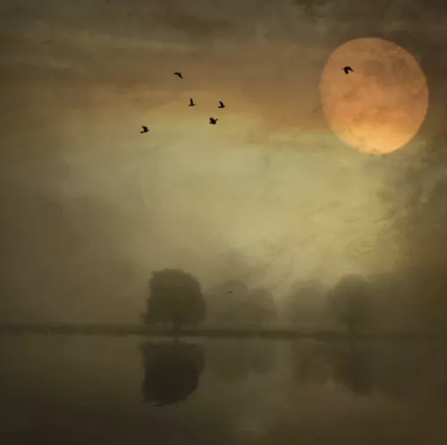 Moonlight dreams  120x120 cm