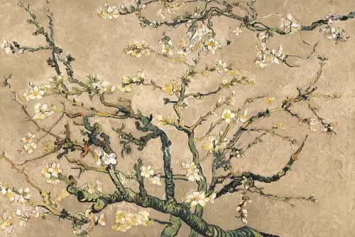 Blossom Beige - Van Gogh 