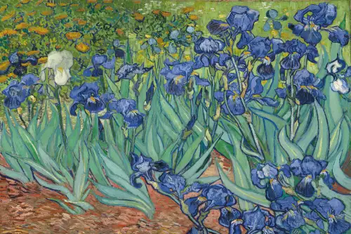 lrises - Van Gogh 