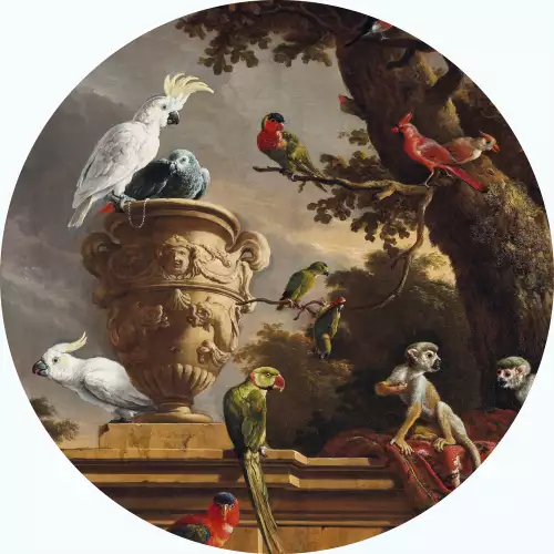 The Menagerie B